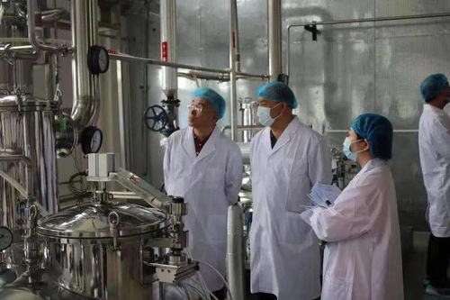 同仁堂兴安滦南分公司顺利通过保健食品生产许可现场核查，生物制药研发生产再添新翼